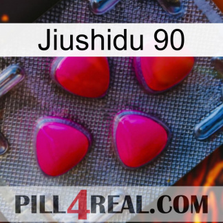 Jiushidu 90 13